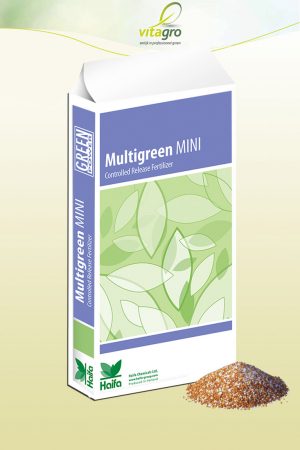 Haifa Multigreen Mini